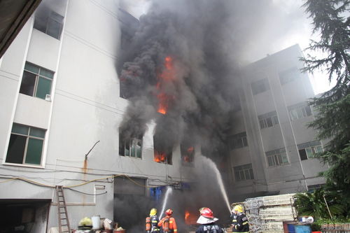 義烏塑料制品廠突發大火，現場濃煙滾滾如焦炭